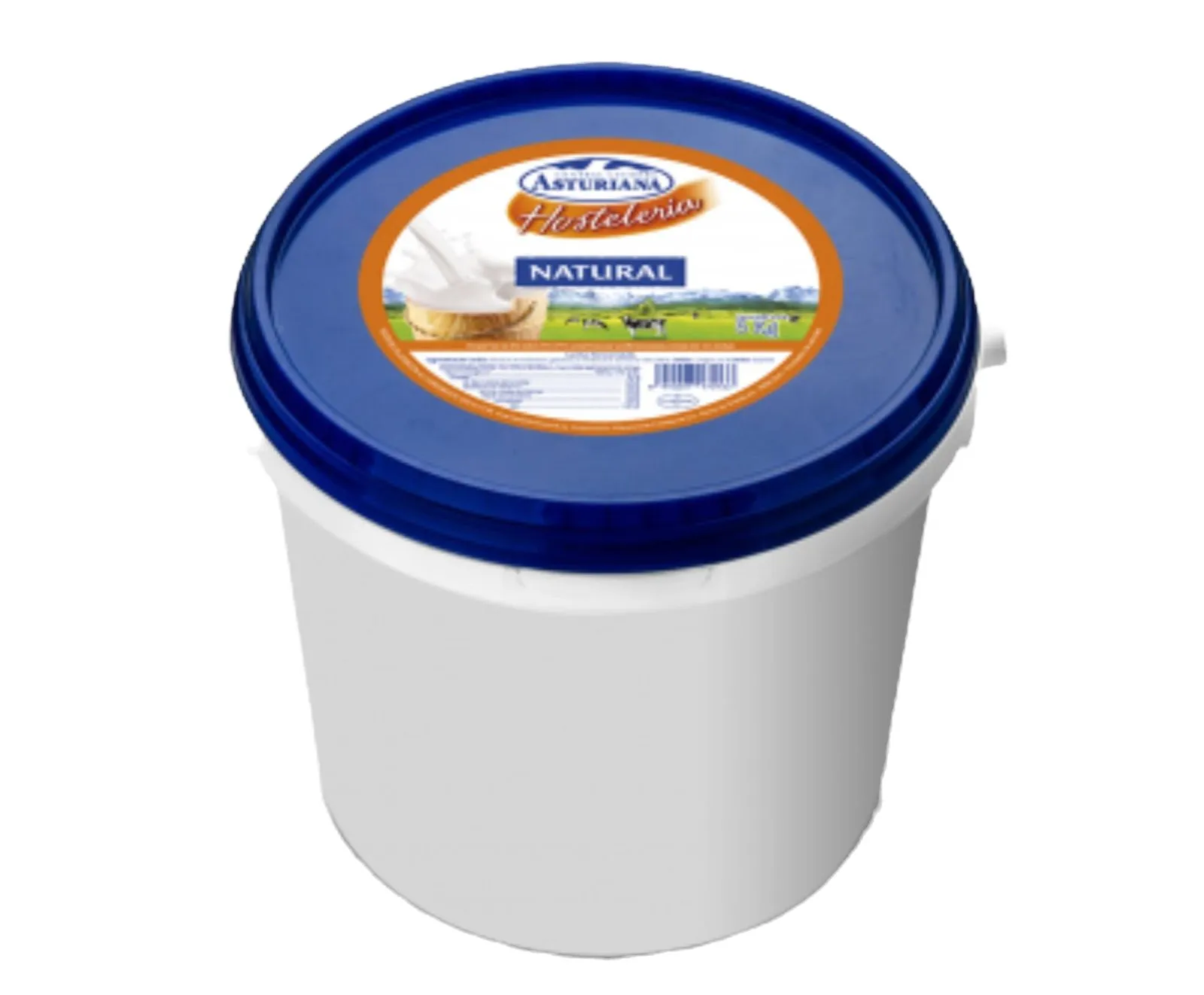 Cubo Yogur Natural 5Kg Asturiana — Lácteos