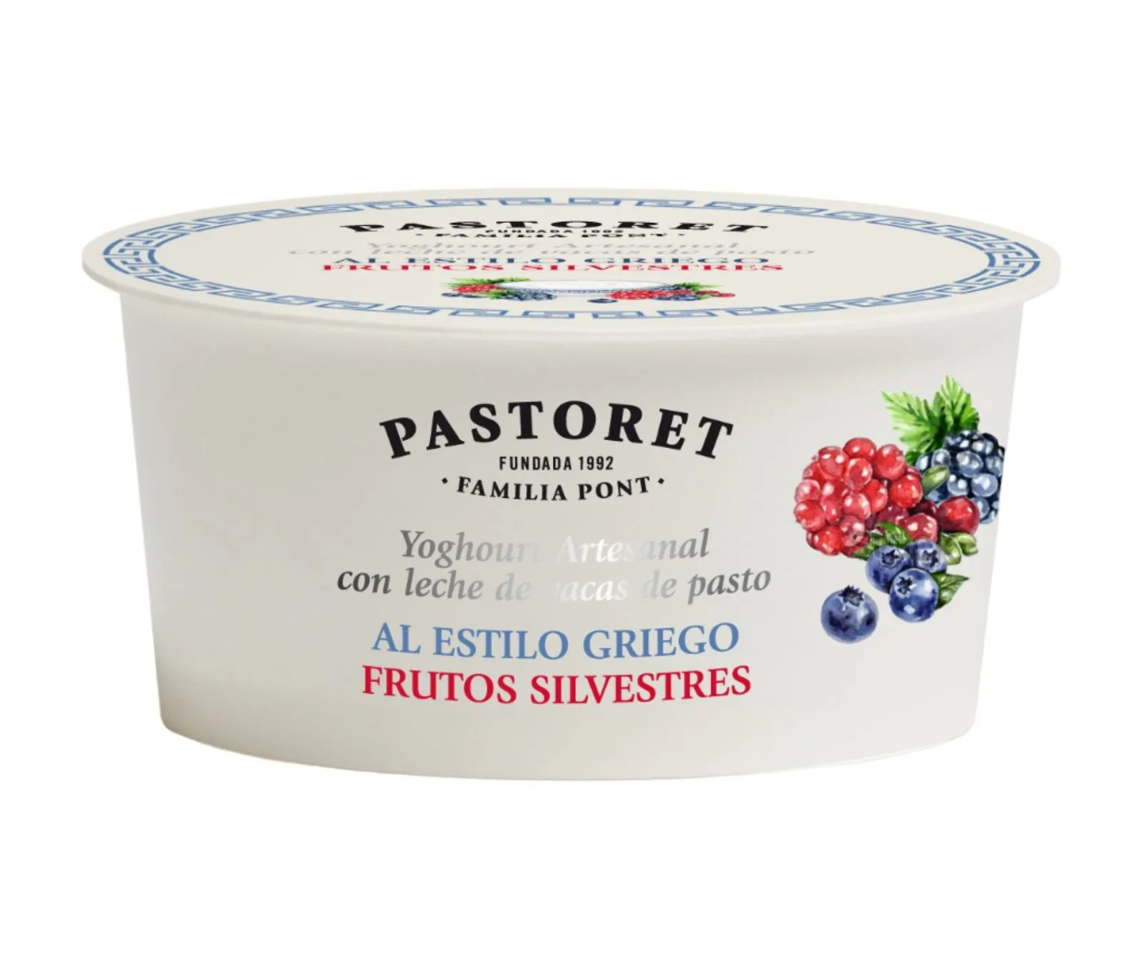 Yoghourt Griego Frutos del Bosque 150g x8Ud — Lácteos