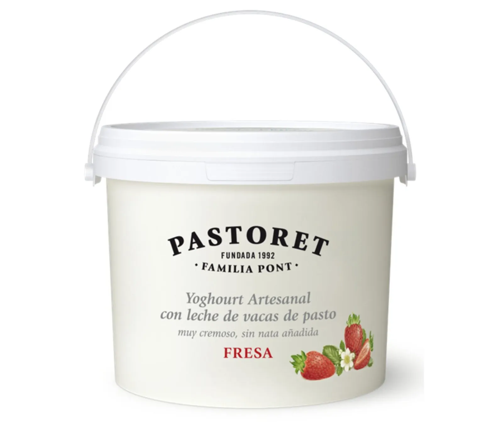 Cubo Yoghourt Artesanal Fresa 2Kg Pastoret — Lácteos