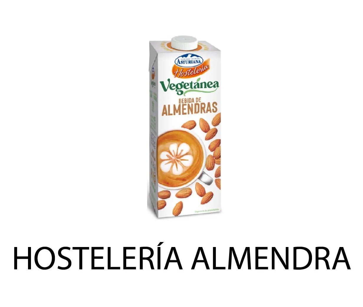 BEBIDA ALMENDRA VEGETANEA HOSTELERIA 1L X6UD
