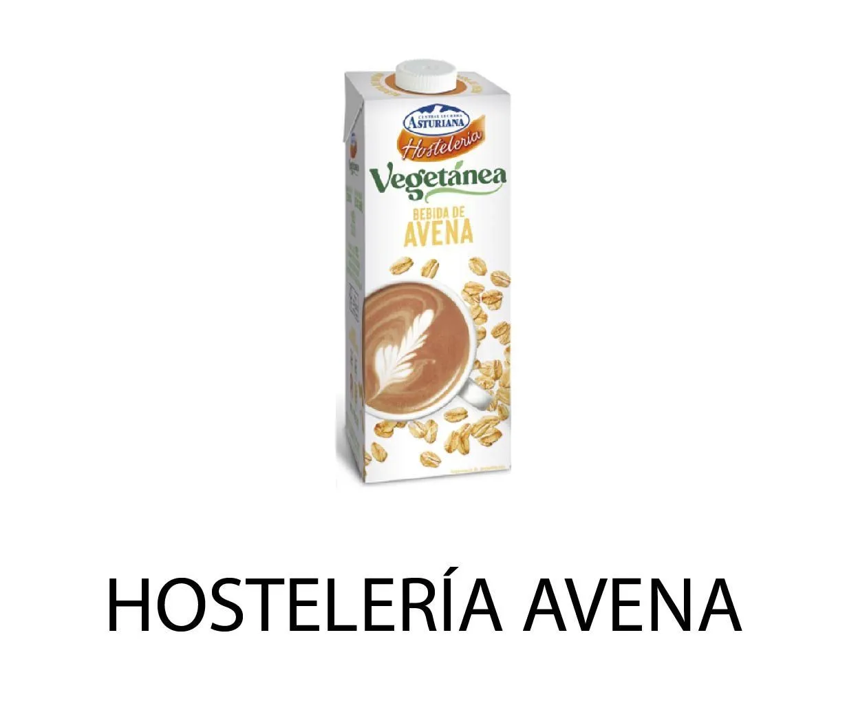 BEBIDA AVENA VEGETANEA HOSTELERIA 1L X6UD