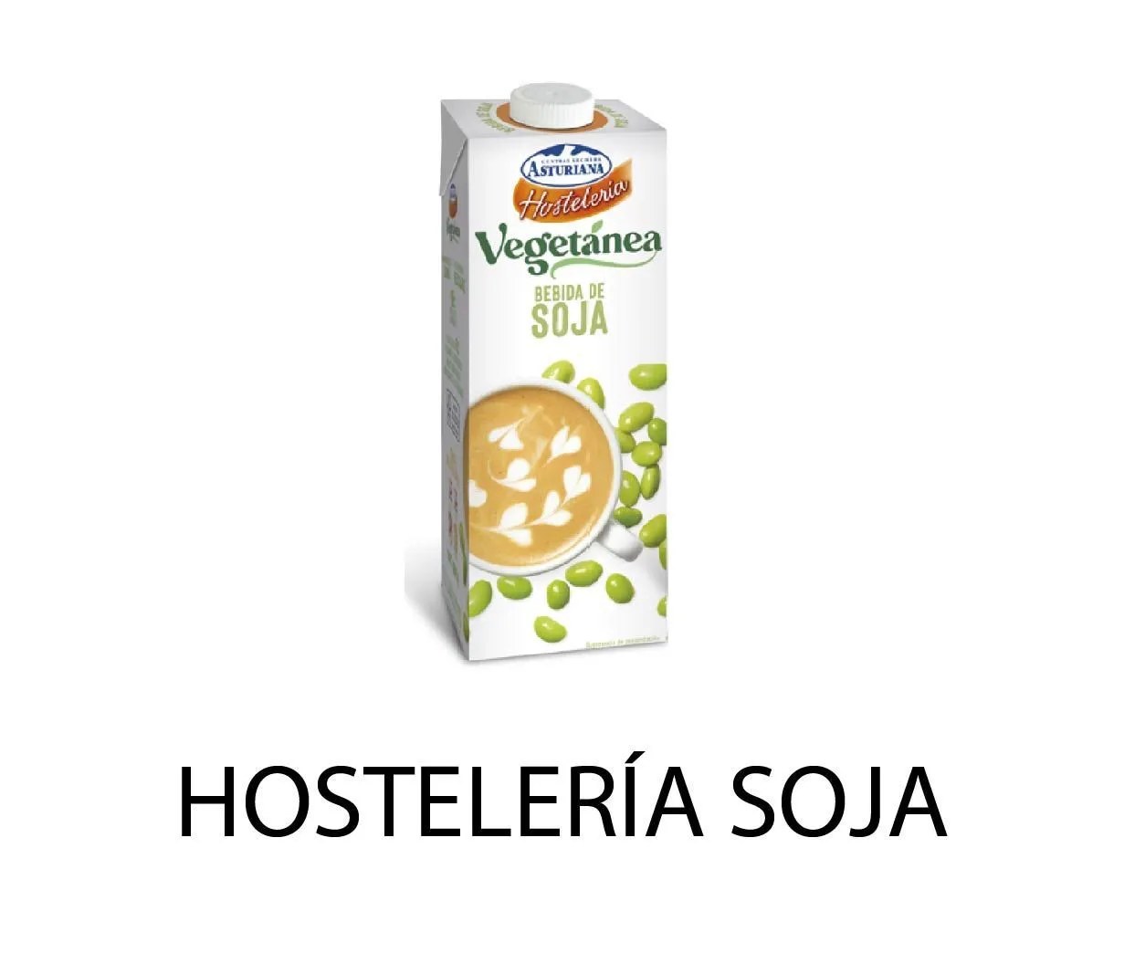 BEBIDA SOJA VEGETANEA HOSTELERIA 1L X6UD
