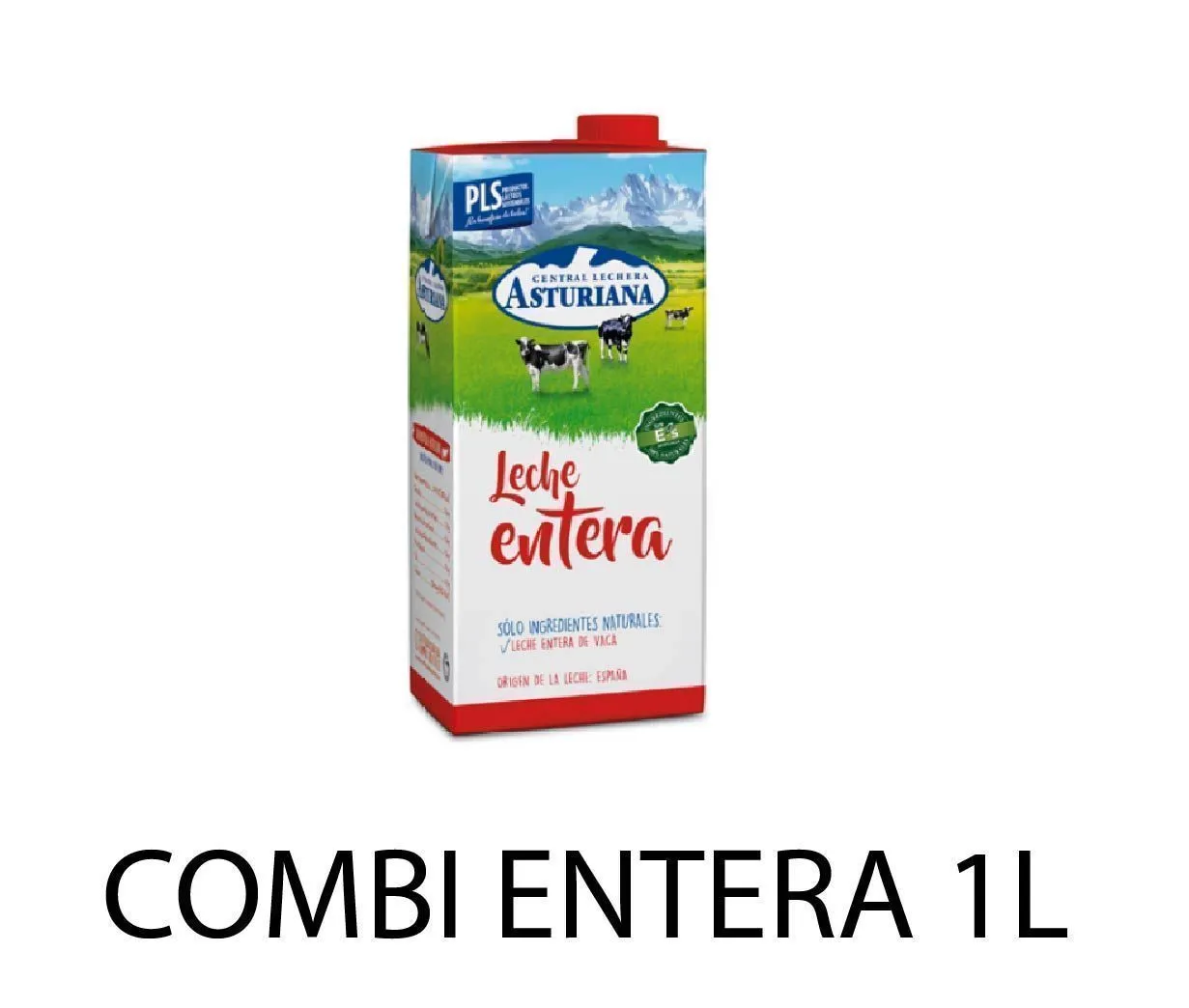 LECHE UHT COMBI ASTURIANA ENTERA 1L X6UD