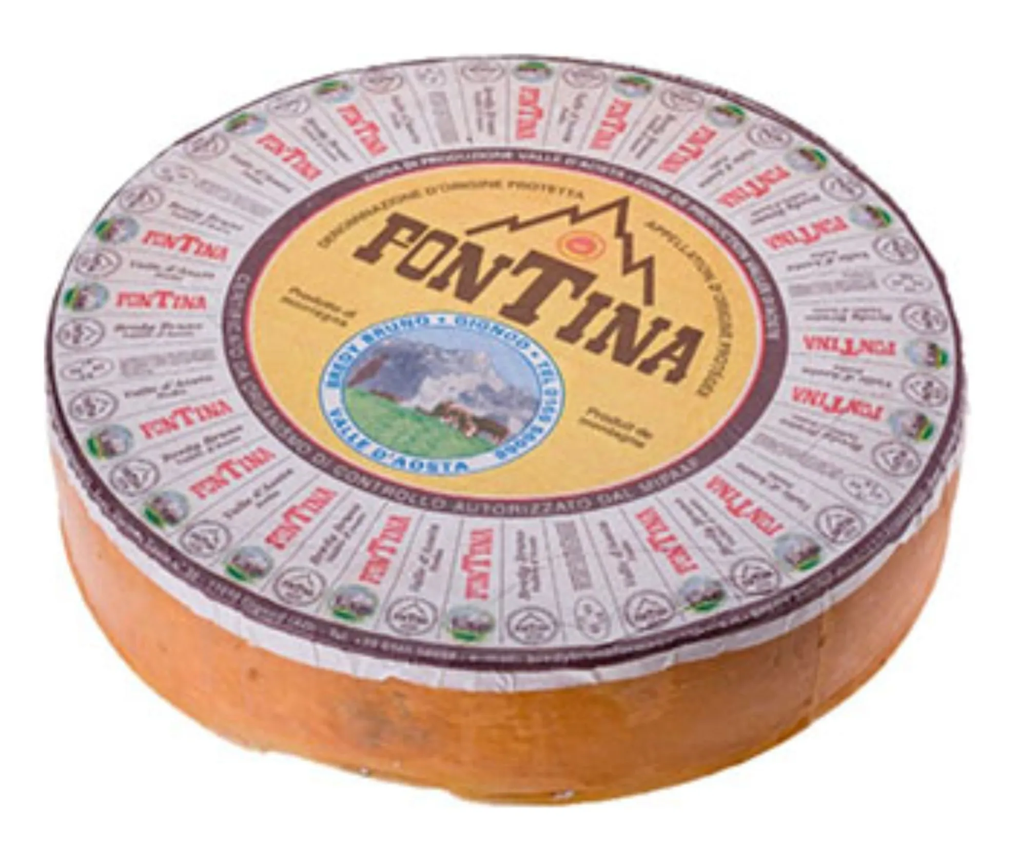Q. FONTINA AOSTA DOP 8,5KG X1UD