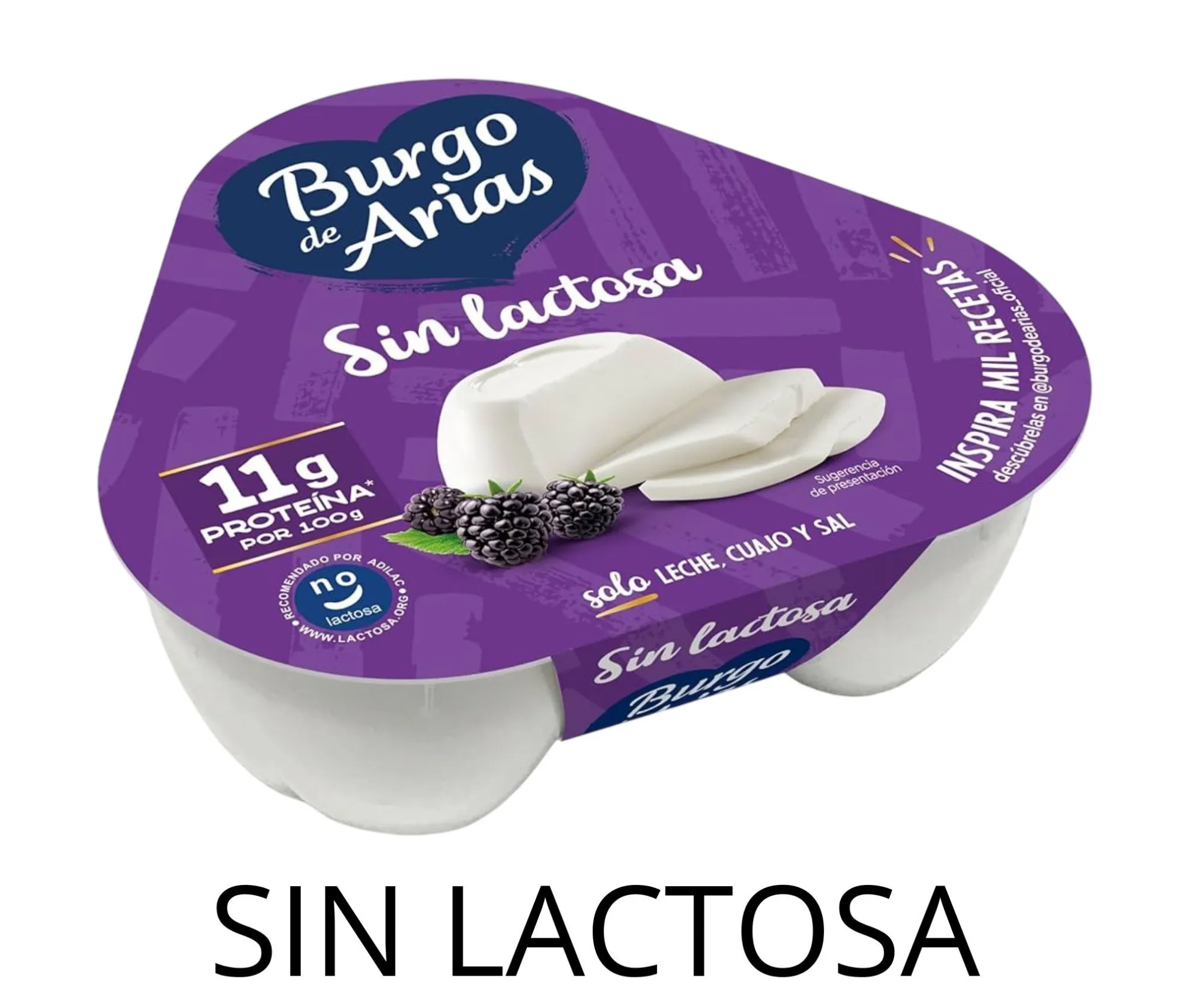 QUESO BURGO ARIAS SIN LACTOSA 3X72GRS X6UD