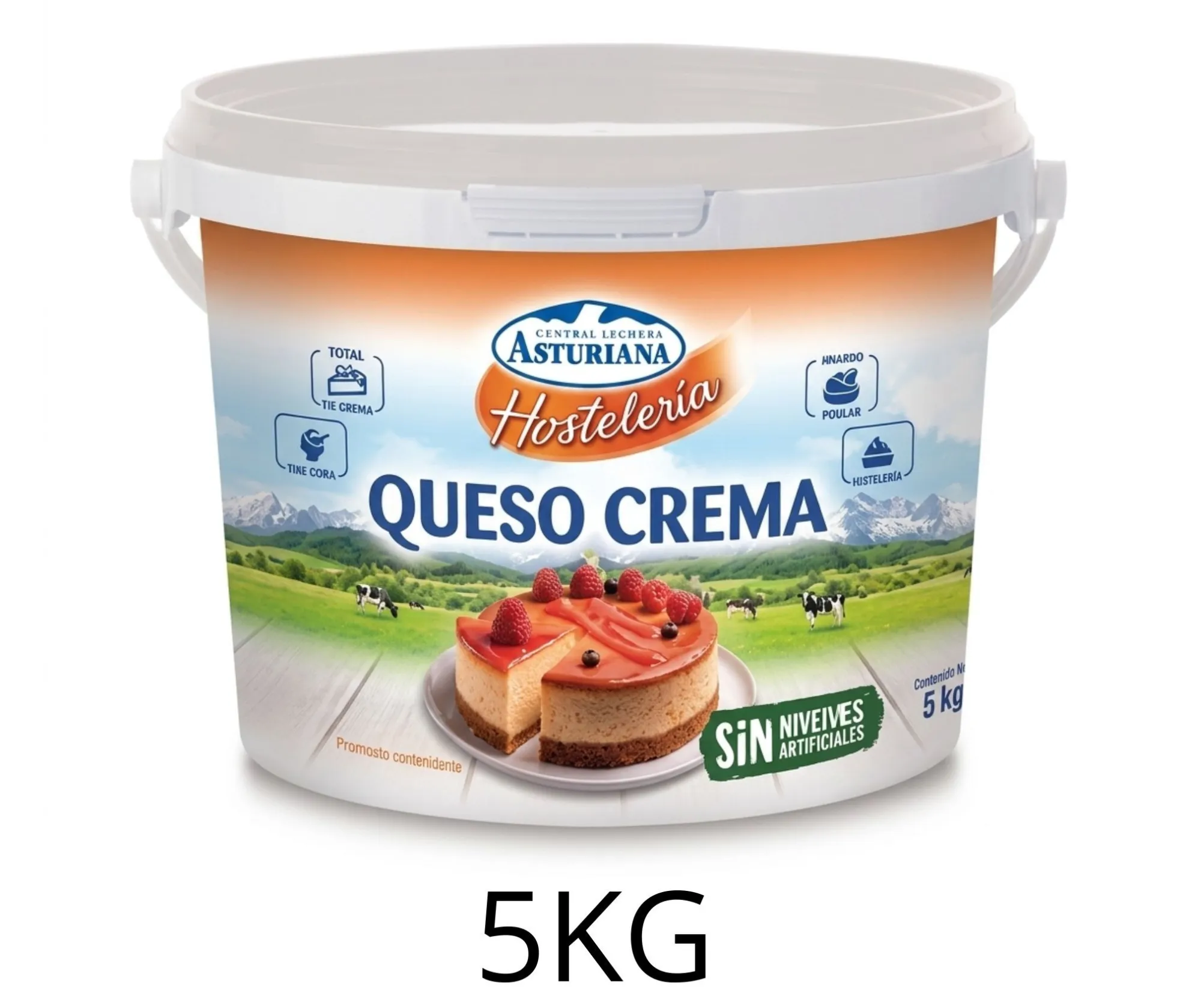 QUESO CREMA HOSTELERIA ASTURIANA 5KG
